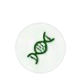 Gastric Emptying